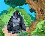 Illustration of sitting gorilla on tropical forest background