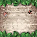 Red ladybugs and green leaves on wooden texture background. Vector illustration.