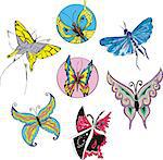 Butterflies and Moths Set. Color vector illustrations.