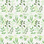 Seamless green plant background. Endless pattern with green twigs and leaves silhouette. Vector illustration