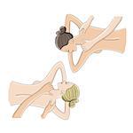 Back massage, woman sketch for your design. Vector illustration