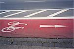 Bicycle lane sign on street .