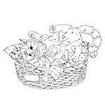 Uncolored Sketch illustration in coloring book style of playful cats. Hand-drawn, vector could be for colouring books. the best for your design, colouring cards, adult coloring book. Black and white.