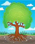 Tree with roots theme image 2 - eps10 vector illustration.
