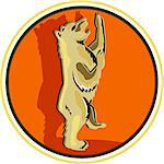 Illustration of a grizzly brown gold bear standing with paws in the air viewed from the side set inside circle done in retro style.