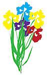 vector illustration of an iris flower