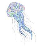 Vector illustration of colorful jellyfish on white background.