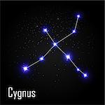 Cygnus Constellation with Beautiful Bright Stars on the Background of Cosmic Sky Vector Illustration EPS10