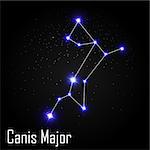 Canis Major Constellation with Beautiful Bright Stars on the Background of Cosmic Sky Vector Illustration EPS10