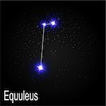 Equuleus Constellation with Beautiful Bright Stars on the Background of Cosmic Sky Vector Illustration EPS10