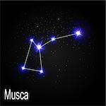 Musca Constellation with Beautiful Bright Stars on the Background of Cosmic Sky Vector Illustration EPS10