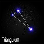 Triangulum Constellation with Beautiful Bright Stars on the Background of Cosmic Sky Vector Illustration EPS10