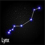 Lynx Constellation with Beautiful Bright Stars on the Background of Cosmic Sky Vector Illustration EPS10