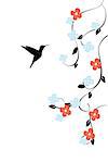 vector illustration of a floral card with hummingbird