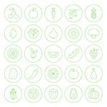 Line Circle Fresh Fruit Vegetable Icons Set. Vector Set of Modern Thin Outline Icons of Healthy Vegan Food Circle Shaped Isolated over White Background.