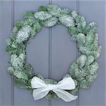 Snow covered christmas wreath of blue spruce fir with white bow on grey wood front door background.