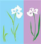 vector illustration of an iris flower silhouette