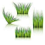 Fragments of the green grass isolated on white. Vector illustration.