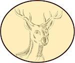 Etching engraving handmade style illustration of a red stag deer buck head viewed from front set inside circle on isolated background.