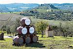 Wine barrels in rural vineyard