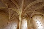 Gothic cloister, Santes Creus Monastery, Aiguamurcia, Catalonia, Spain