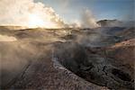 Sol de Manana Geyser at dawn, Eduardo Avaroa Andean Fauna National Reserve, Bolivia, South America