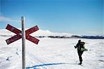 Sweden, Harjdalen, Helagsfjallet, Helags, Skier in winter landscape