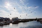 Sweden, Medelpad, Njurunda, Flying birds over river and fishing village