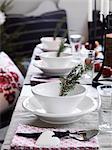 Close up of plate with christmas decoration