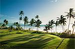 Trinidad and Tobago, Lowlands, Tobago, View of golf course at seaside
