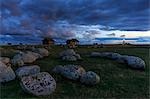 Sweden, Oland, Ottenby, Lichen rocks on grass