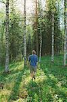 Finland, Mellersta Finland, Jyvaskyla, Saakoski, Young man walking across forest glade