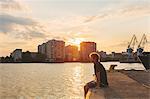 Finland, Helsinki, Uusimaa, Sompasaari, Man sitting on pier at sunset