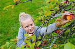 Finland, Uusimaa, Sipoo, Woman reaching for apple on branch