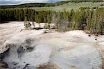 Mudpots in Yellowstone National Park, Wyoming, USA