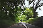 Driver's View of Country Road, Southwest England, UK