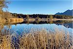 Landscape Reflected in Lake Barmsee, Krun, Upper Bavaria, Bavaria, Germany