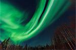 Aurora borealis, Northern Lights near Chena Resort, near Fairbanks, Alaska