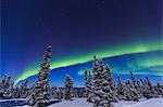 Aurora borealis, Northern Lights above tent lit up with lantern, near Chena Resort, near Fairbanks, Alaska