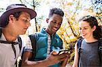 Three young adult hikers looking at smartphone GPS in forest, Arcadia, California, USA