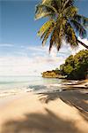 West Indies, Saint Lucia, Tropical beach by sea