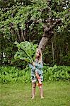 Sweden, Sodermanland, Girl (4-5) standing on grass and holding large rhubarb leaves