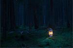 Sweden, Vaster Gotland, Lantern in forest at dusk
