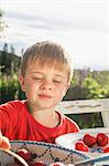 Sweden, Halsingland, Jarvso, Boy (4-5) eating strawberries in garden