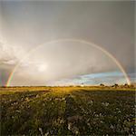 Sweden, Gotland, Rainbow over green field