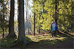 Sweden, Smaland, Anderstorp, Girl (10-11) standing in forest and looking up
