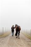 Sweden, Skane, Mid-adult woman with horse on dirt road in fog