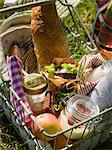 Sweden, Skane, Wire basket with food on grass