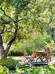 Sweden, Skane, Empty wooden table and chairs under tree