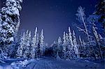 Finland, Lapland, Kittila, Levi, Country road in winter at night